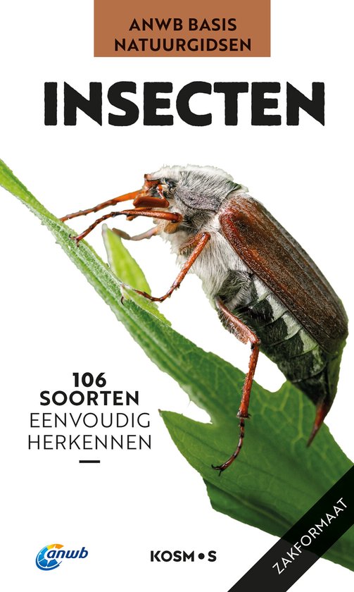 ANWB Basis Natuurgids - Insecten - cover
