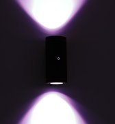 Proventa Smart Wandlamp buiten met sensor - Full color - 2 lichtpunten - Bedienbaar met App