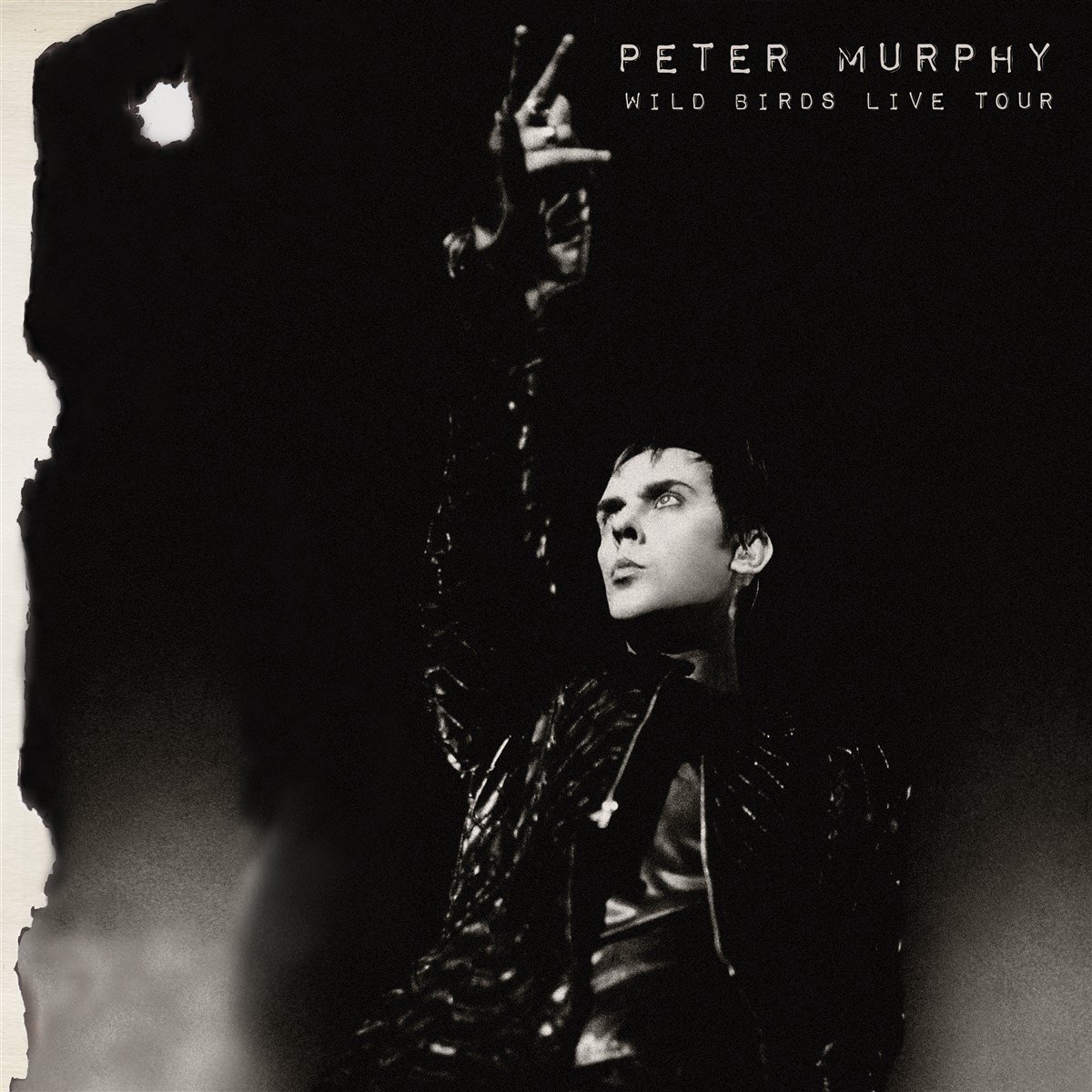 Peter Murphy - Wild Birds Live Tour (2 LP) (Limited Edition) (Coloured Vinyl)
