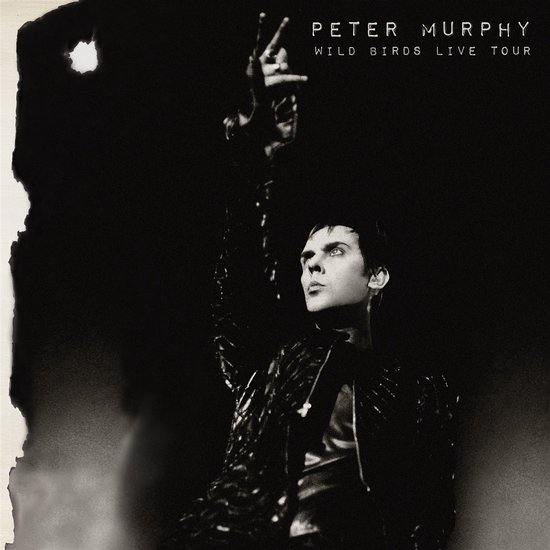 Peter Murphy - Wild Birds Live Tour (2 LP)