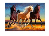 TOPMO - Paarden - Diamond painting pakket - HQ Diamond Painting - volledig dekkend - Diamant Schilderen – voor Volwassenen – ROND - 40 x 50 CM