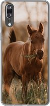 Geschikt voor Huawei P20 hoesje - Paard - Zon - Gras - Siliconen Telefoonhoesje