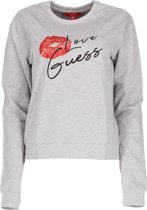 Guess Sweater Grijs
