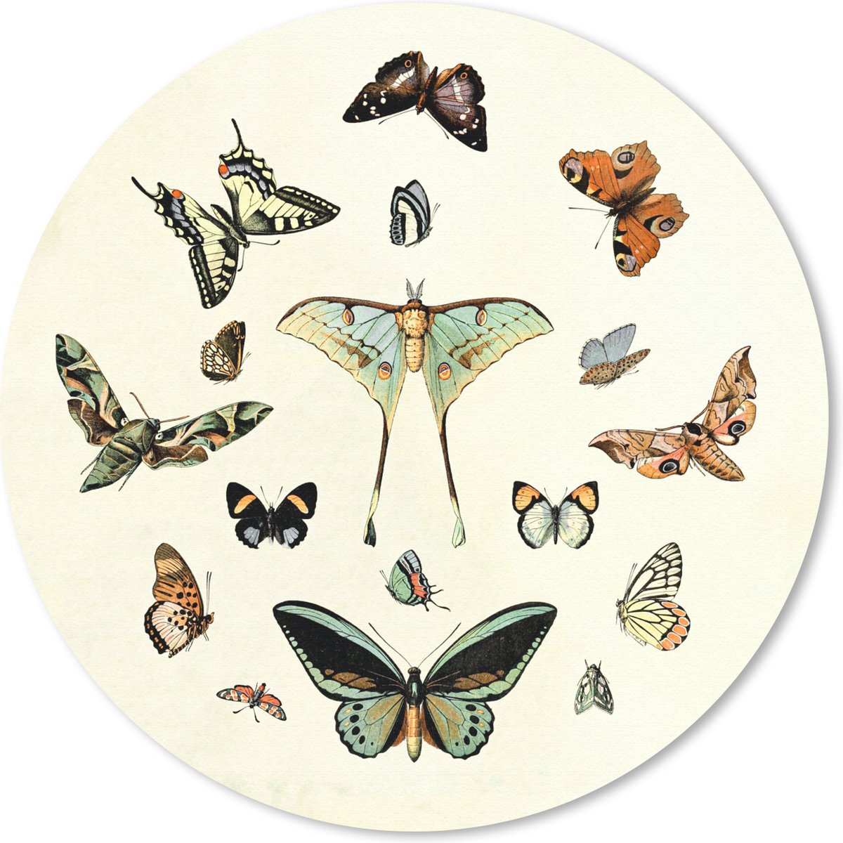 Muismat rond 20x20 cm - Mousepad Vlinder - Dieren - Vintage - Ronde muismatten