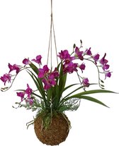 Kunst Kokodama Orchidee Fucsia | 50cm - Namaak Kokodama Orchidee - Kunstplanten voor binnen - Kunstplant orchidee Fucsia
