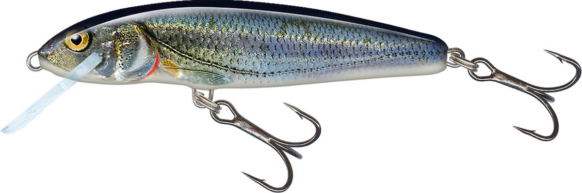 Salmo Floating Minnow 5cm 3g