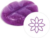 Scentchips® Violet Sky geurchips - XL doosje 38 geurchips