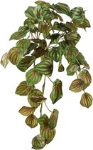 Viv! Home Luxuries Watermeloenblad (Peperomia) - hangende kunstplant - 52 cm - groen - topkwaliteit