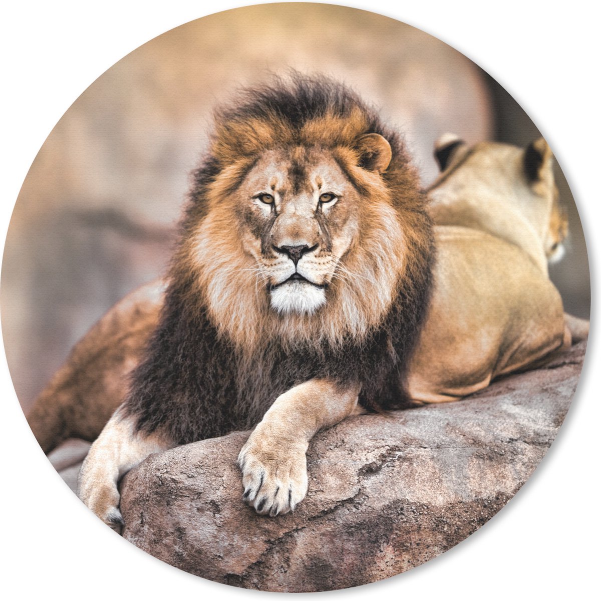 Muismat rond 20x20 cm - Mousepad Leeuw - Rots - Dieren - Ronde muismatten