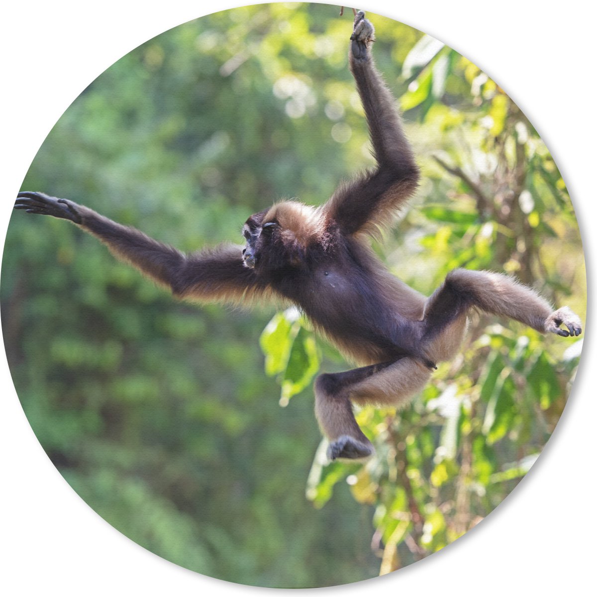 Muismat rond 30x30 cm - Mousepad Springende aap in de jungle - Ronde muismatten