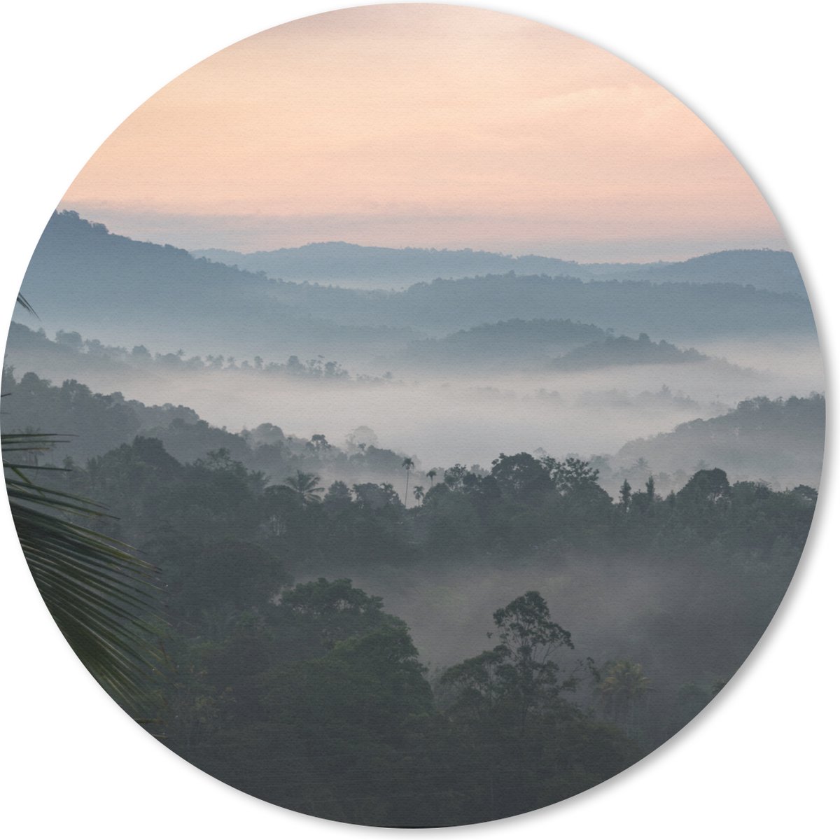 Muismat rond 20x20 cm - Mousepad Bos - Zon - Mist - Ronde muismatten