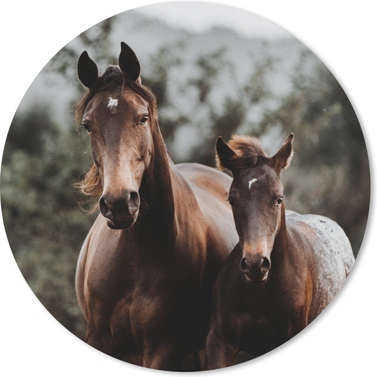 Muismat rond 40x40 cm - Mousepad Paard - Veulen - Natuur - Ronde muismatten