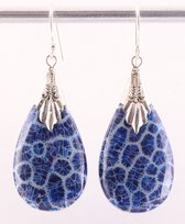 Zilveren oorbellen met blauwe fossiel koraal