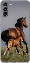 Geschikt voor Samsung Galaxy S21 Plus hoesje - Dieren - Paarden - Veulen - Siliconen Telefoonhoesje