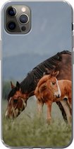 Geschikt voor iPhone 13 Pro Max hoesje - Paarden - Veulen - Natuur - Siliconen Telefoonhoesje
