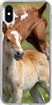 Geschikt voor iPhone Xs hoesje - Paarden - Veulen - Gras - Siliconen Telefoonhoesje