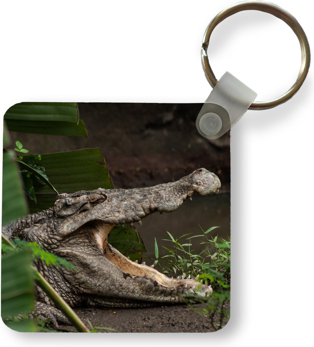 Présentoirs pour bijoux Pince Crocodile Barrette Cheveux 30x6 mm (10 pièces) Argenté