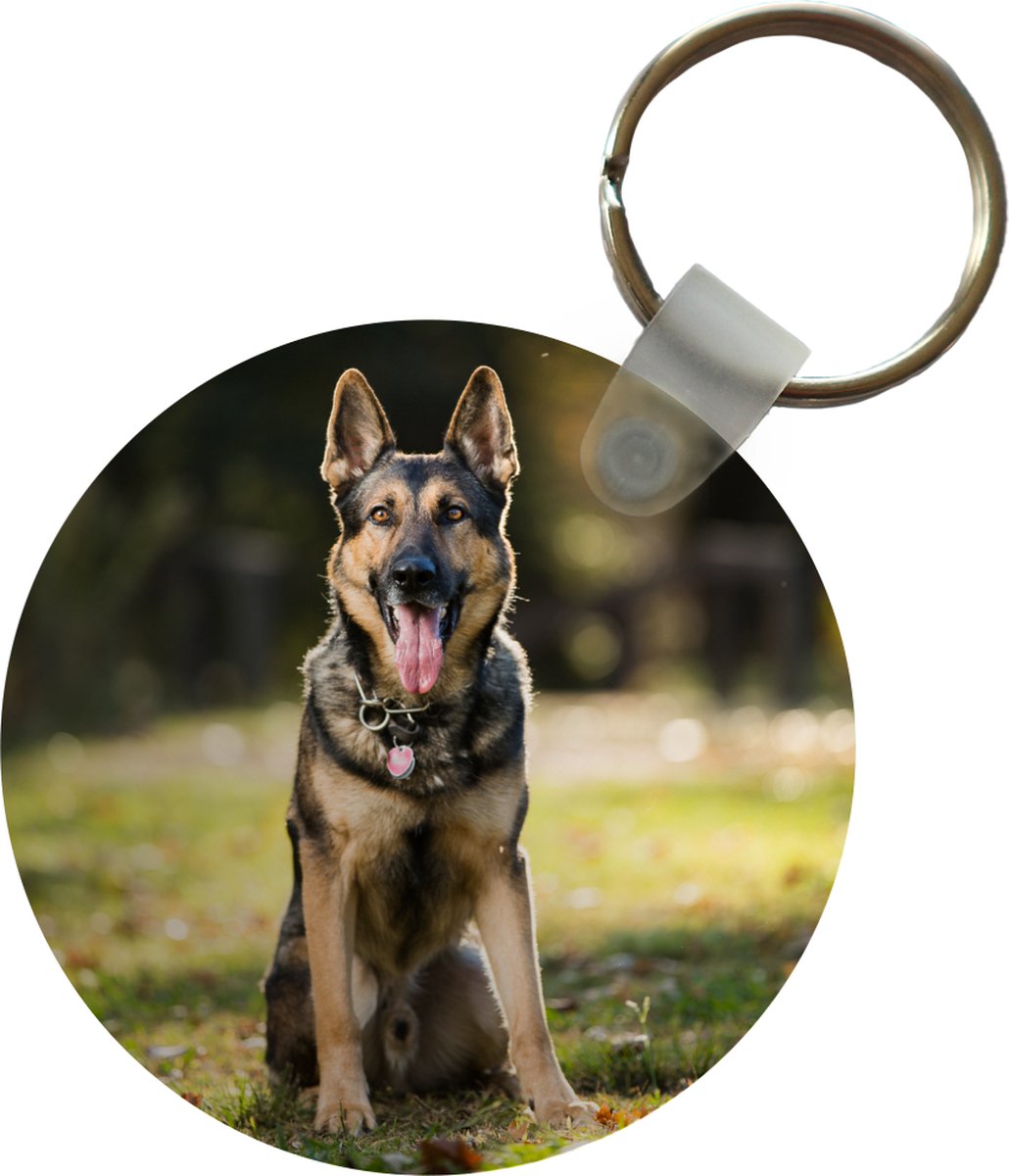 Porte-clés - Un chien de berger allemand est assis dans l'herbe verte -  Plastique 