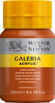 Winsor & Newton Galeria - Acrylverf - 250ml - Burnt Sienna