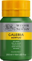 Winsor & Newton Galeria - Acrylverf - 250ml - Sap Green