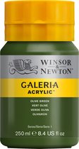 Winsor & Newton Galeria - Acrylverf - 250ml - Olive Green