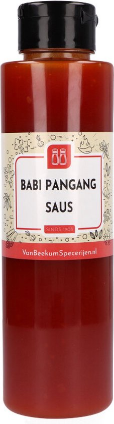 Van Beekum Specerijen - Babi Pangang Saus - Knijpfles 500 ml