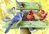 Diamond painting 30x40 cm - Vogels op vogelhuis