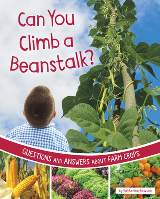 Farm Explorer- Can You Climb a Beanstalk? - cover