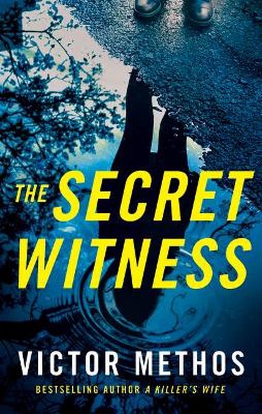 Shepard & Gray-The Secret Witness - cover