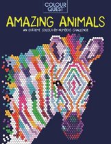 Colour Quest- Colour Quest®: Amazing Animals