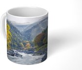 Mok - Rivier bij het Japanse Okutama met herfstkleuren - 350 ML - Beker - Uitdeelcadeautjes