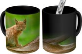 Magische Mok - Foto op Warmte Mok - Lynx zit op een tak en kijkt recht in de camera in het Nationaal Park Bayerischer Wald - 350 ML - Uitdeelcadeautjes