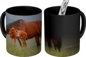 Magische Mok - Foto op Warmte Mok - Paarden - Veulen - Natuur - 350 ML - Uitdeelcadeautjes