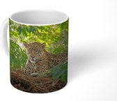 Mok - Jaguar in de jungle - 350 ML - Beker - Uitdeelcadeautjes