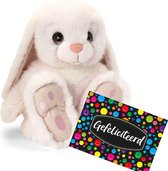 Pluche knuffel cadeau Konijn 25 cm met A5-size Gefeliciteerd wenskaart - Verjaardag cadeau opsturen - Jongen/meisje