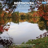 Radio Symphony Orchesta Ljubljana & Philharmonic Slavonica - Beethoven: Symphony No.5 (LP)