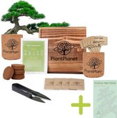 PlantPlanet Bonsai starters kit - Bonsai zaden 4 soorten - Bonsai pot - Cadeau man & vrouw - Incl. E-book