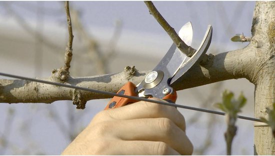 Bahco PXR-M2 Snoeischaar met roterende greep - Maat M - Max. knipbreedte 20 mm — afbeelding 3