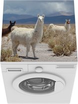 Wasmachine beschermer mat - Alpaca - Woestijn - Wolken - Breedte 60 cm x hoogte 60 cm
