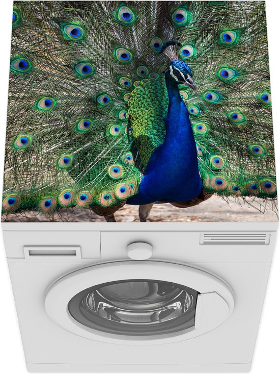 Tapis De Protection Chat Pour Machine à Laver - 50.8x61 Cm - Caoutchouc Antidérapant Et Imperméable - Décoration Buanderie - 14