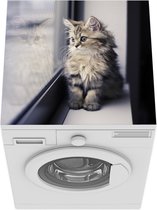 Wasmachine beschermer mat - Een Perzische kitten kijkt uit het raam - Breedte 60 cm x hoogte 60 cm