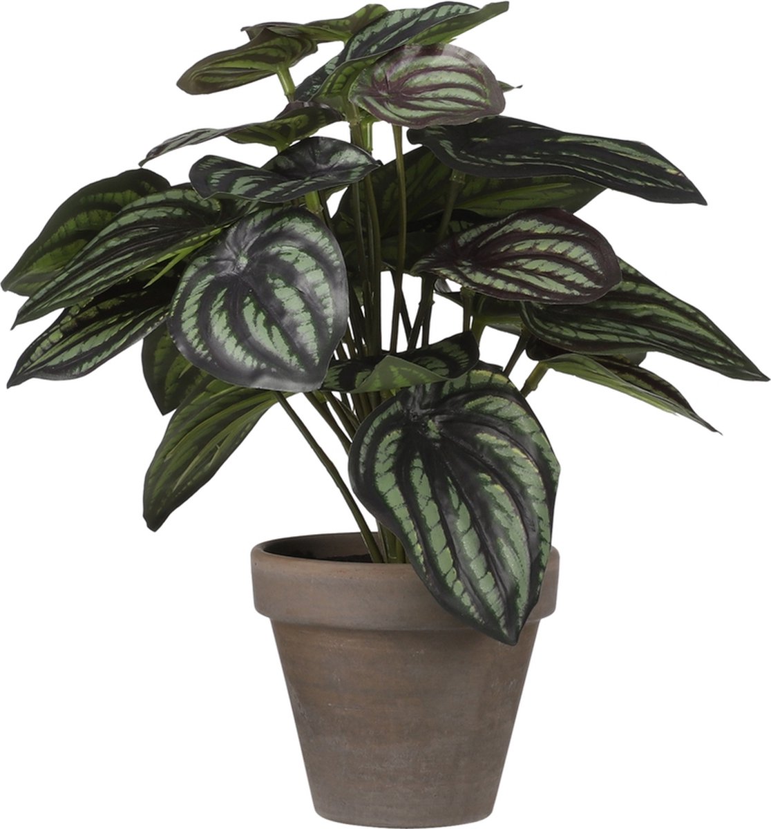 Mica Decorations Peperomia Kunstplant in Bloempot Stan - H24 x D23 cm - Donkergroen D.Groen,donker groen