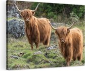 Artaza Canvas Schilderij Twee Schotse Hooglanders bij Stenen - 120x80 - Groot - Foto Op Canvas - Wanddecoratie Woonkamer