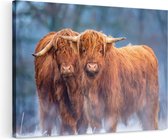 Artaza Canvas Schilderij Twee Schotse Hooglanders in de Sneeuw - 120x80 - Groot - Foto Op Canvas - Wanddecoratie Woonkamer