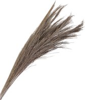 Oneiro’s Luxe Droogbloemen pb. broom grass 100 gr white wash 90-100 cm – hotel chique - binnen - accessoires - decoratie – bloemen – mat – glans – industrieel