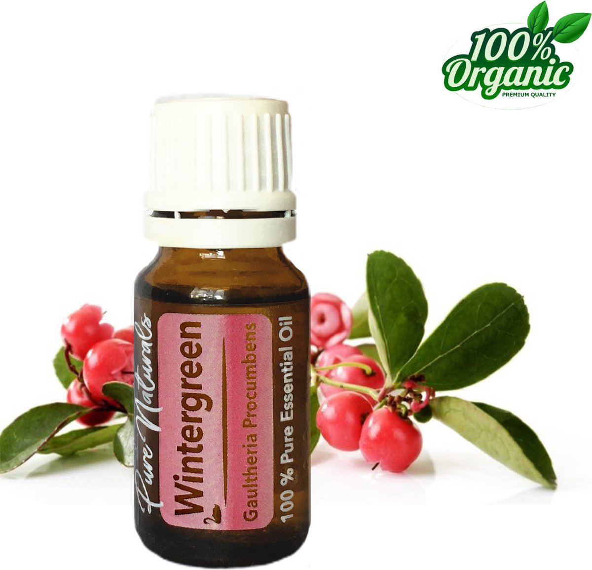 Goedkoopste WintergreenEtherische olieAncient Healing10 ml