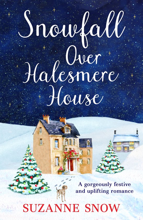Boek cover Snowfall Over Halesmere House van Suzanne Snow (Onbekend)