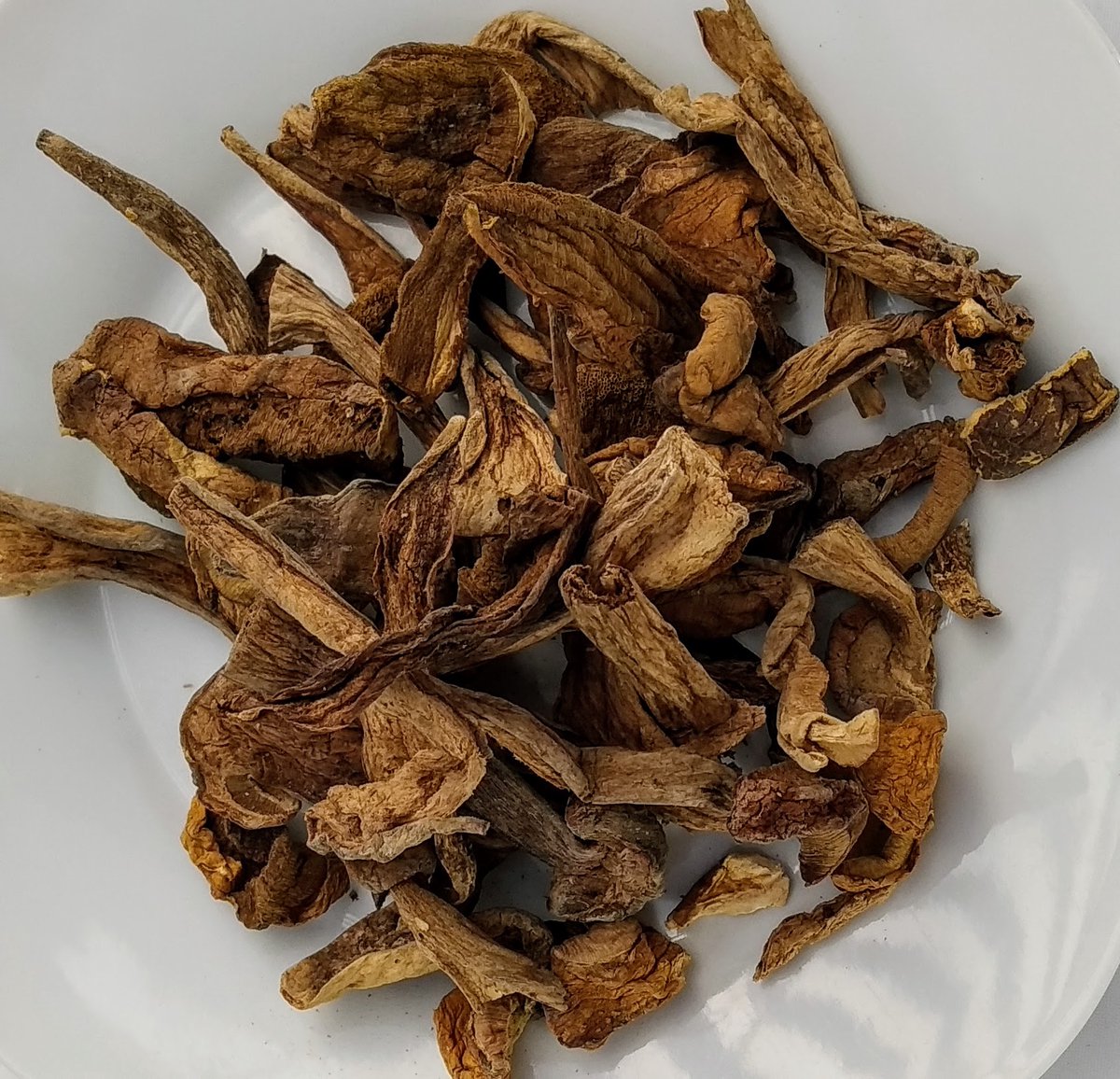 Gedroogd Eekhoorntjesbrood 75 Gram Porcini Nootachtige smaak