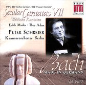 Weltliche Kantaten BWV211