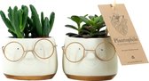 Plantophile plant-deco collectie - leuke bril pot met plant - wit met goud - small - SET VAN 2 STUKS